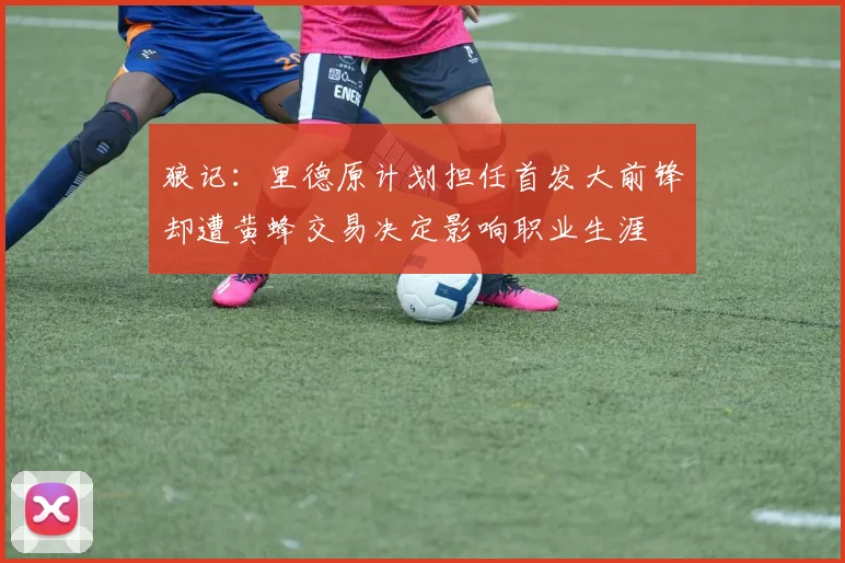 狼记：里德原计划担任首发大前锋却遭黄蜂交易决定影响职业生涯