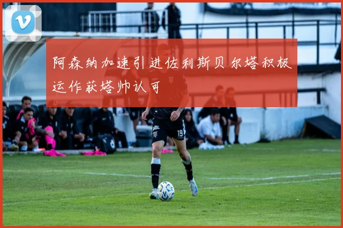 阿森纳加速引进佐利斯贝尔塔积极运作获塔帅认可